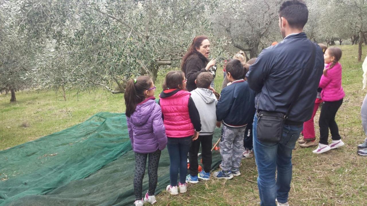 Societa Agricola F.Lli Angelucci Villa Cannara Ngoại thất bức ảnh